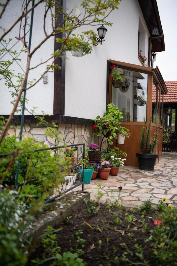 Guest House Rossy ترايغراد المظهر الخارجي الصورة