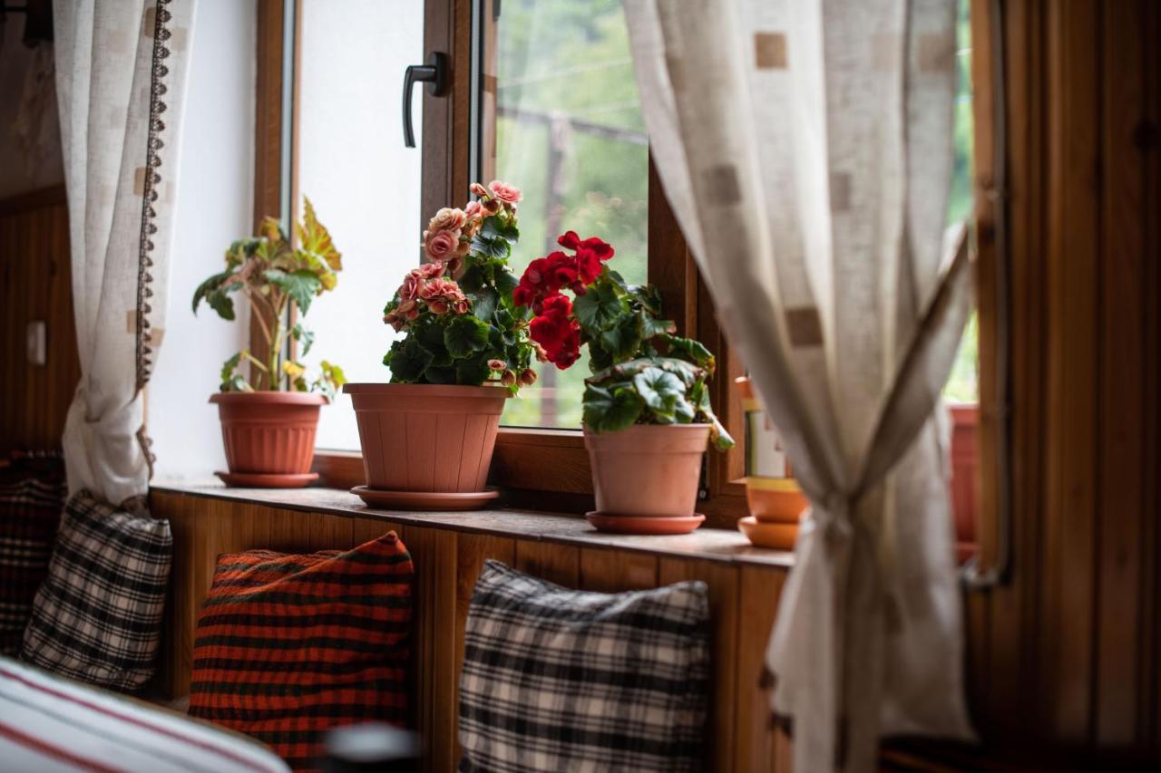 Guest House Rossy ترايغراد المظهر الخارجي الصورة