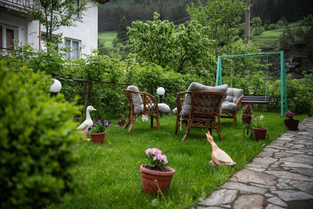 Guest House Rossy ترايغراد المظهر الخارجي الصورة