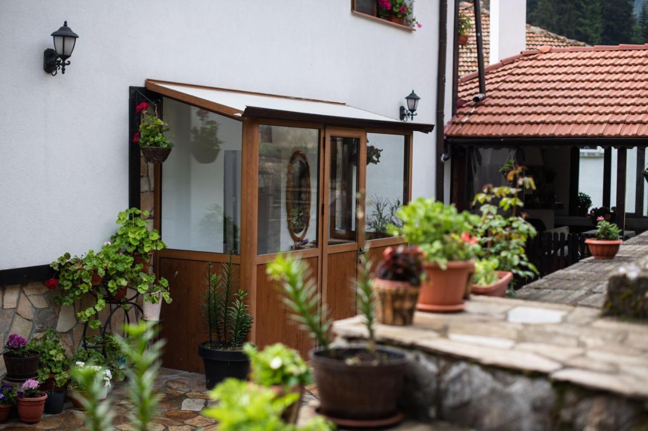 Guest House Rossy ترايغراد المظهر الخارجي الصورة